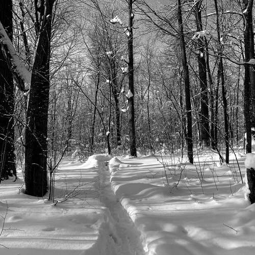 Photo #13143985