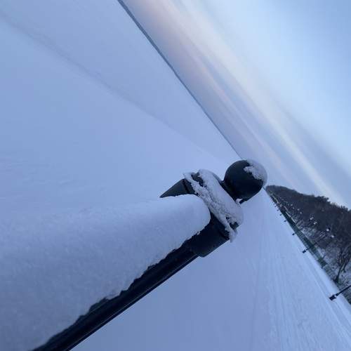 Photo #13143987