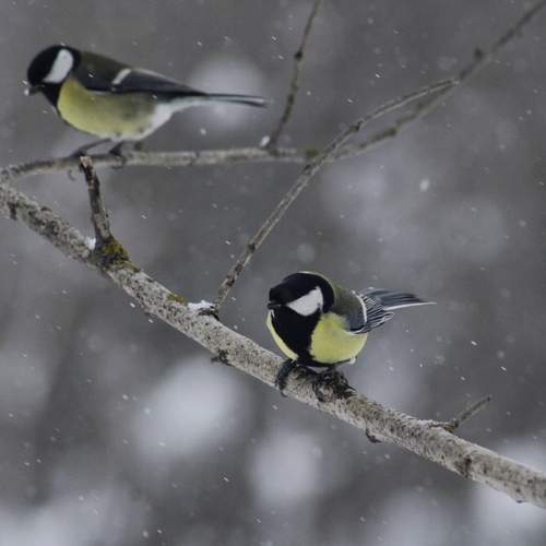 Photo #13144098