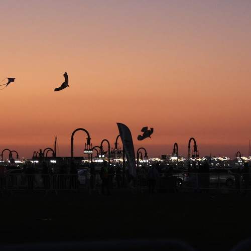 Photo #13144155