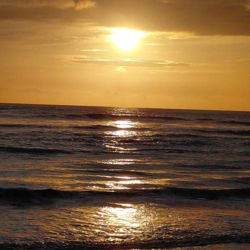 Photo #13144188