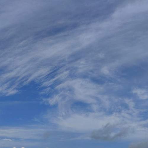 Photo #13144191