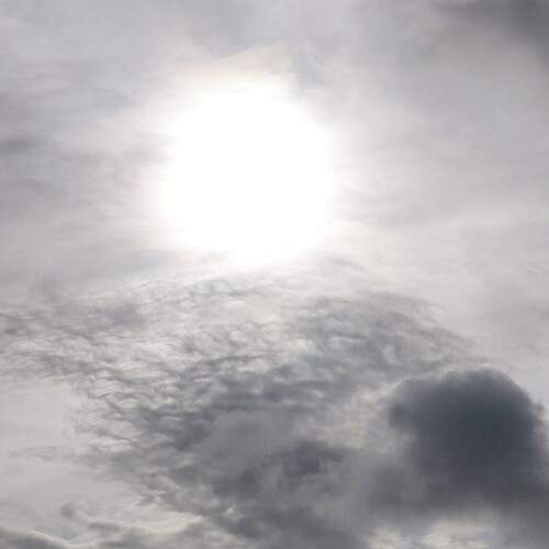 Photo #13144195