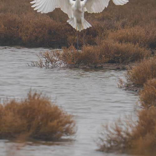 Photo #13144215