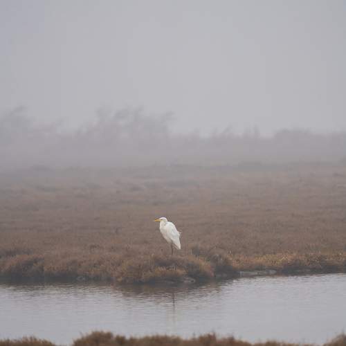 Photo #13144224