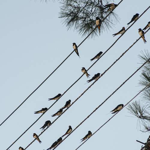 Photo #13144259