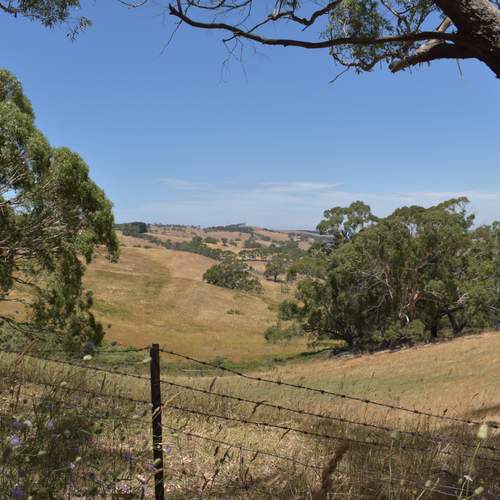 Photo #13144279