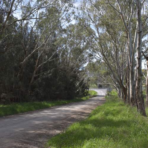 Photo #13144287