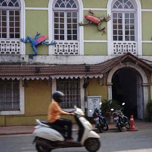 Catch the frog