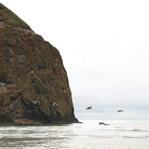 Photo #13144416