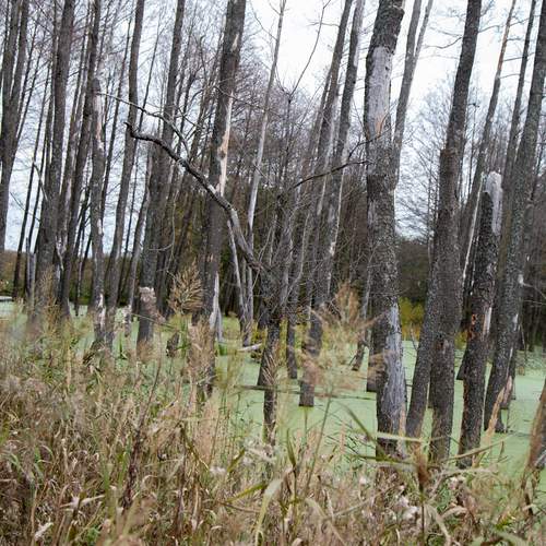 Photo #13144802