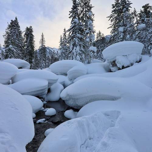 Photo #13144852