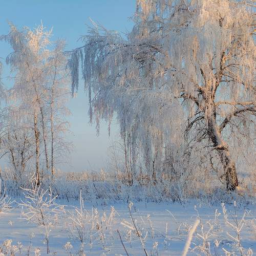 Photo #13144921