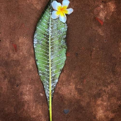 Photo #13144922