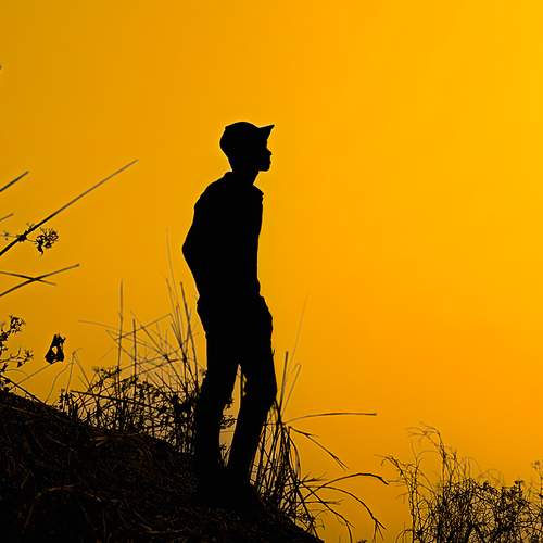 Photo #13145005