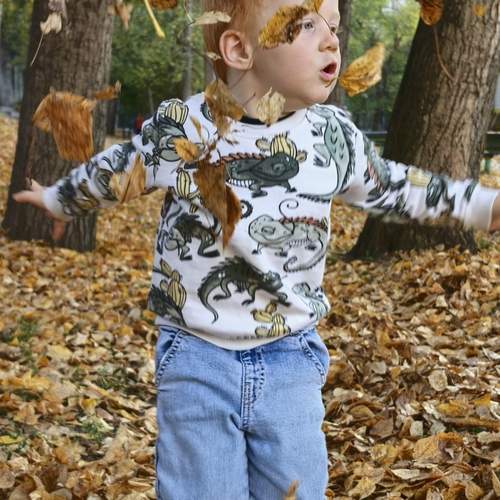 Photo #13145380