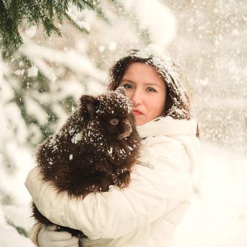 Photo #13145428