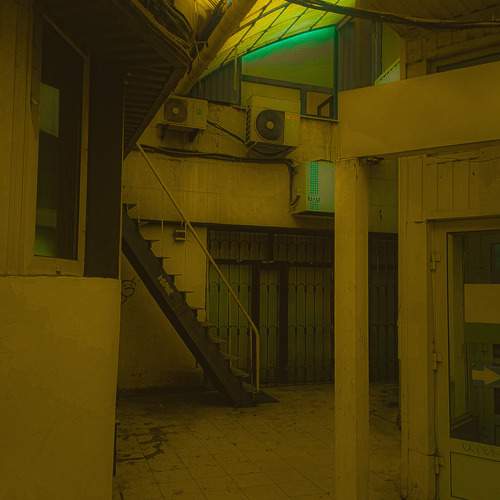 Photo #13145561