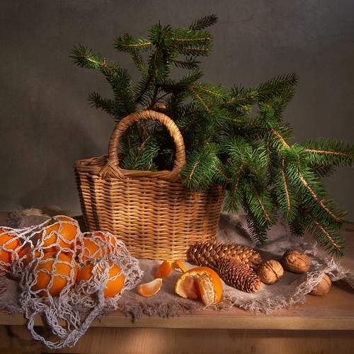 Photo #13145565