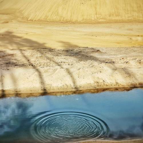 Photo #13145742