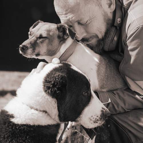Photo #13145844