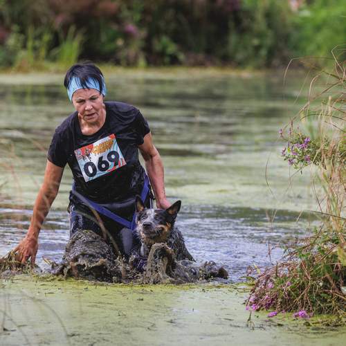 Фотография #13145982