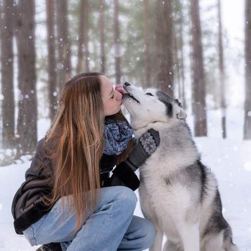 Photo #13146065