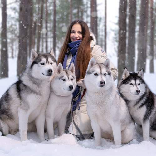 Photo #13146066