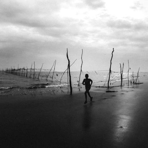 Photo #13146081