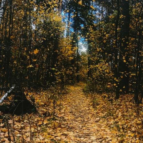Photo #13146167