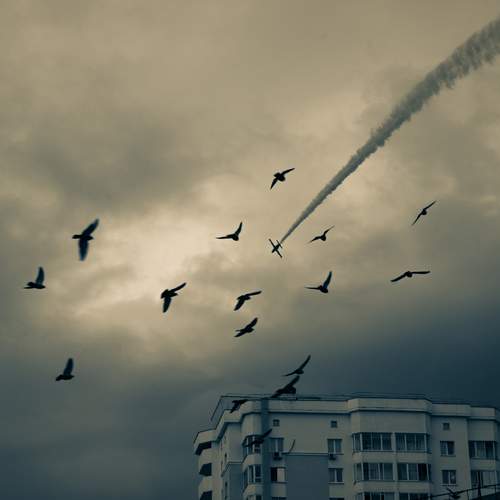 Photo #13146542