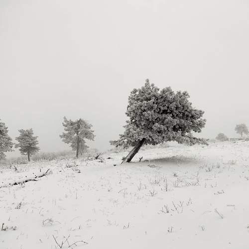 Photo #13146668