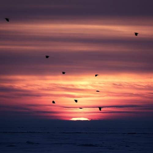 Photo #13146688