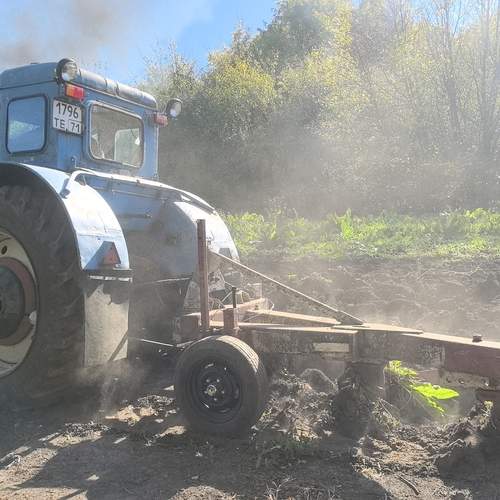 Photo #13146762