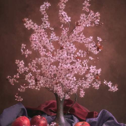 Photo #13146863