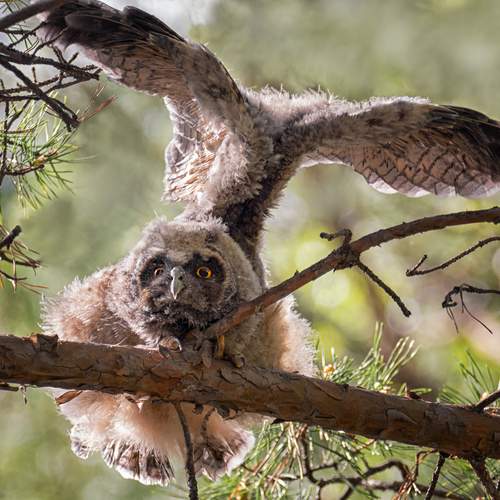 Под зонтиком.