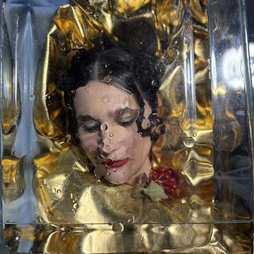 Photo #13146967