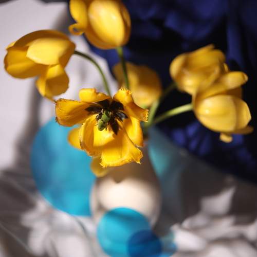 Photo #13147115