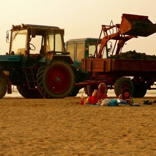Photo #13147120