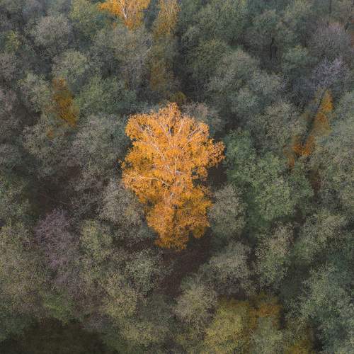Photo #13147127