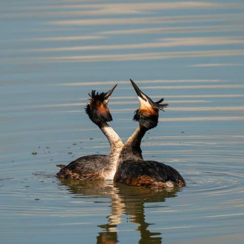 Photo #13147195