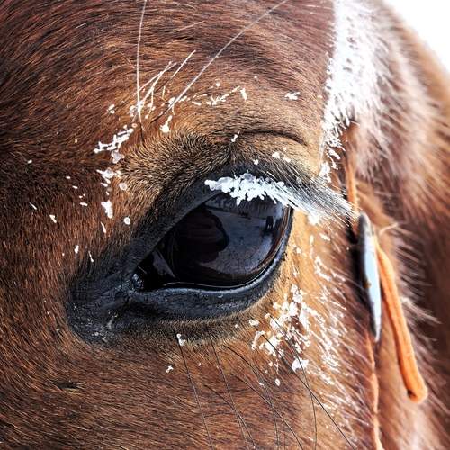 Photo #13147208