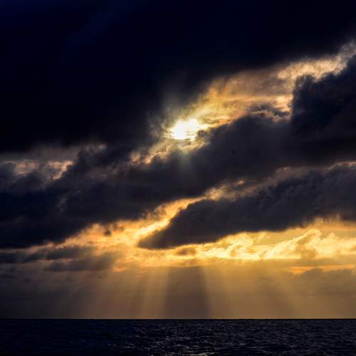 Photo #13147250