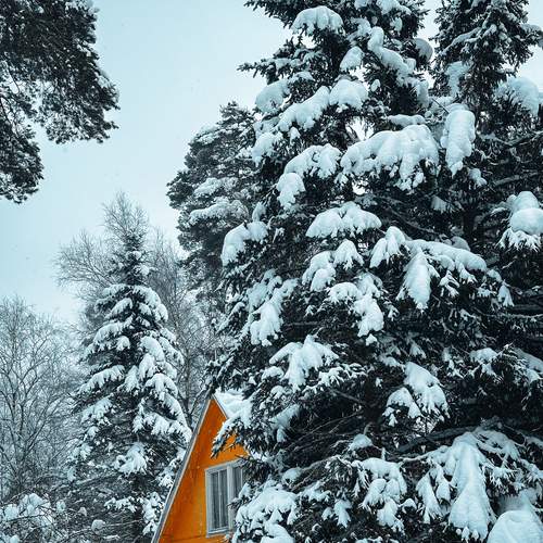 Photo #13147289