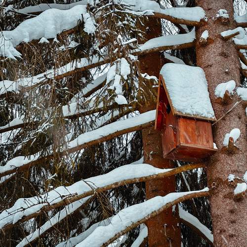 Photo #13147291
