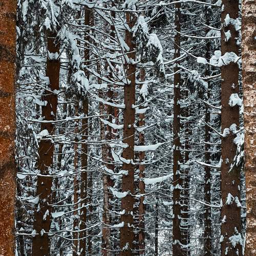 Photo #13147292