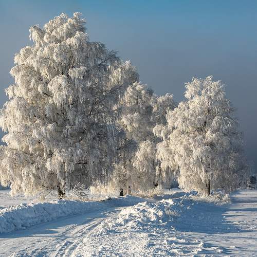 Photo #13147409