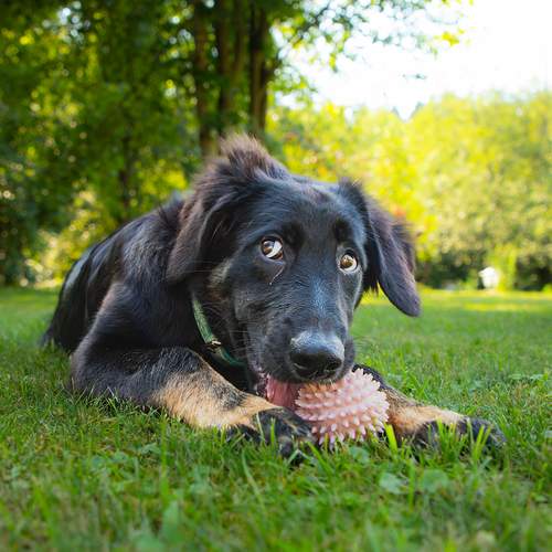 Photo #13147463