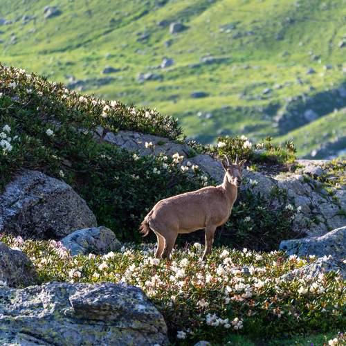 Photo #13147514