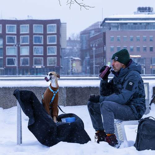 Photo #13147637